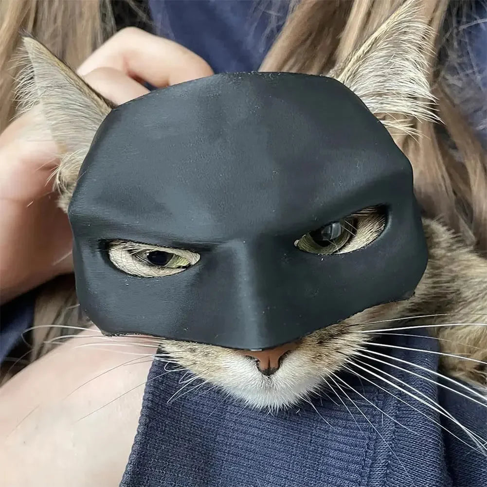 Cat Batman Mask.