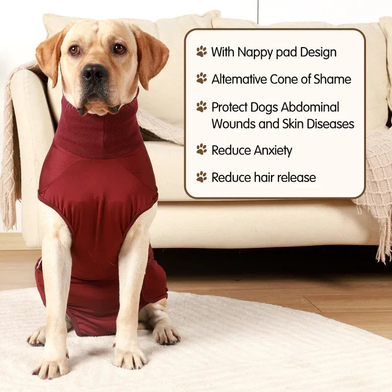 Recovery Suit for Dogs & Cats.