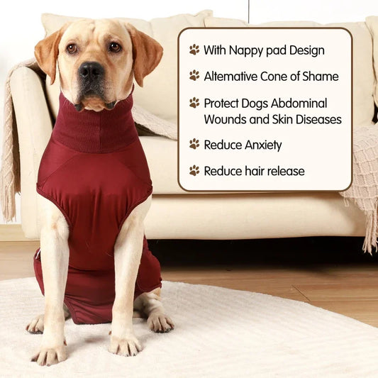 Recovery Suit for Dogs & Cats.