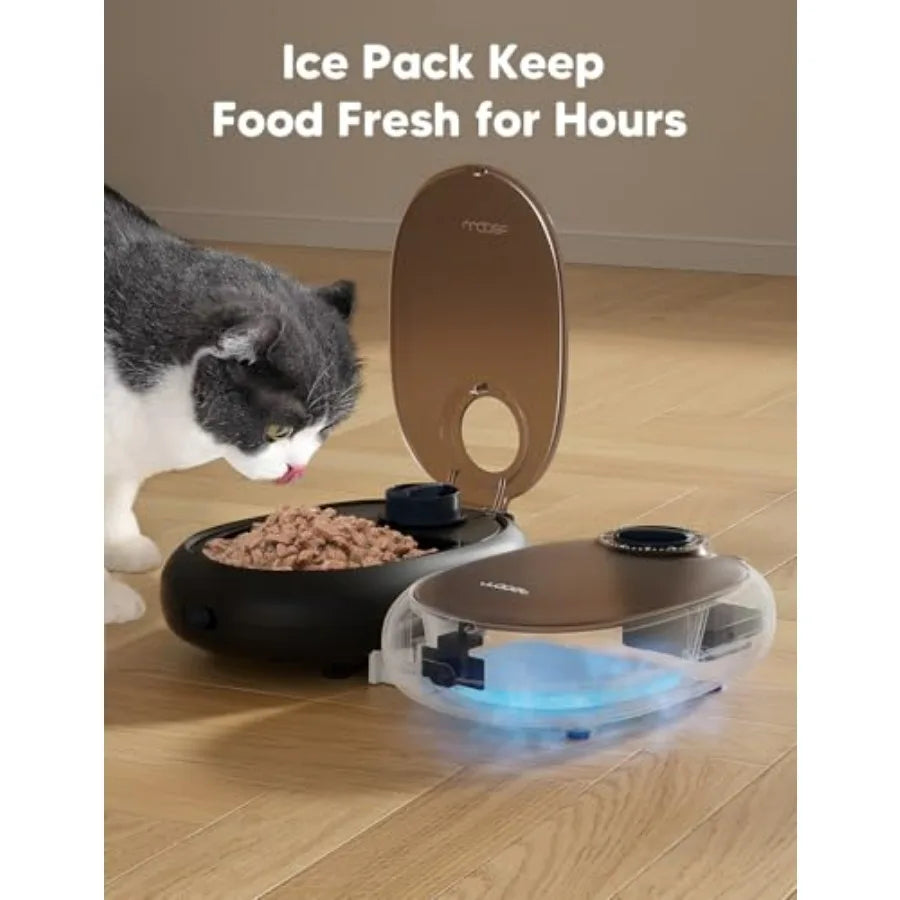 Automatic Cat Feeder.