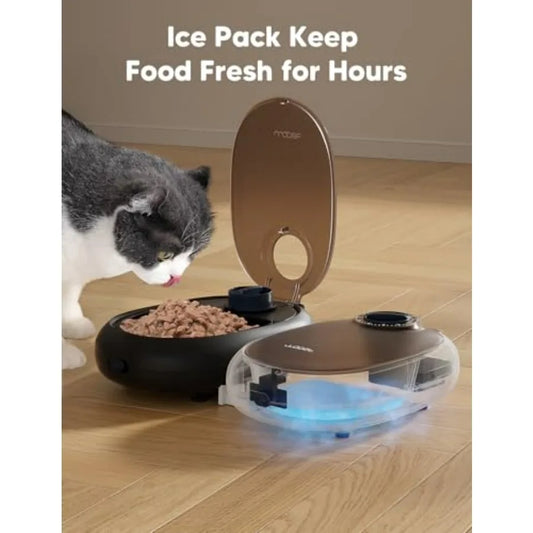 Automatic Cat Feeder.