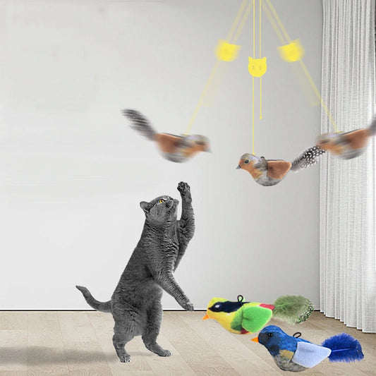 Bird Vivid Cat Toys.