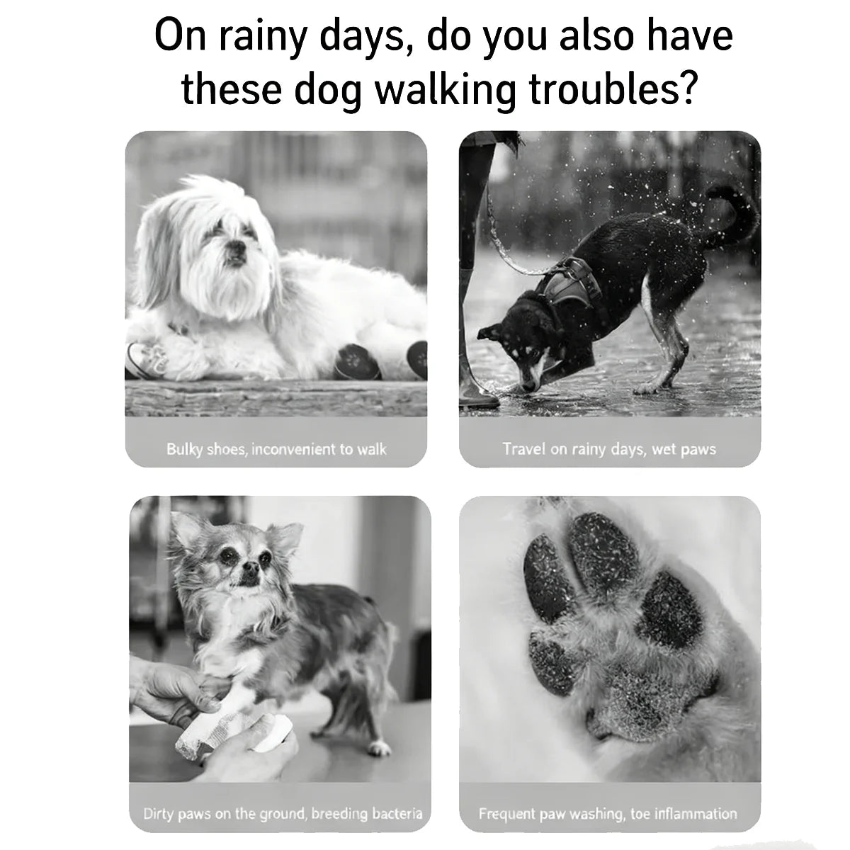 Pet Rain Boots.