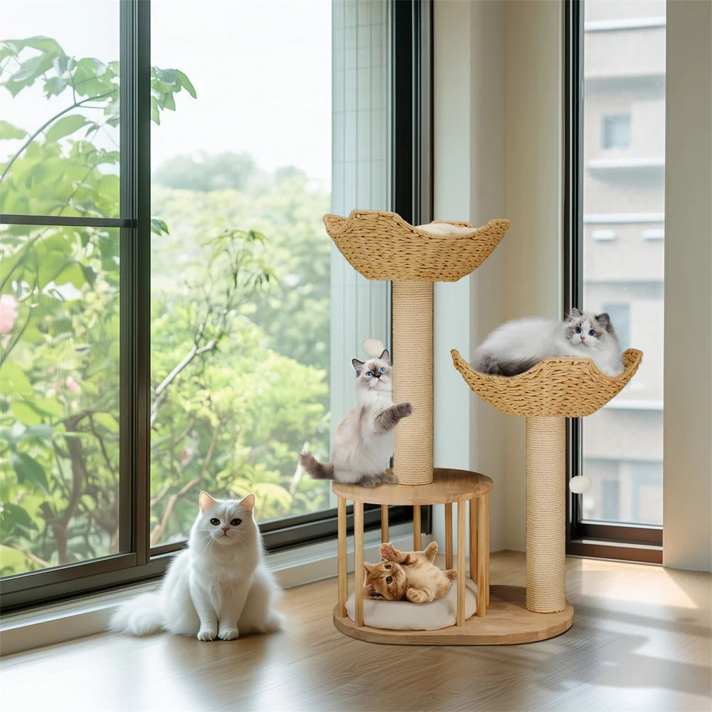 Cat Tree.