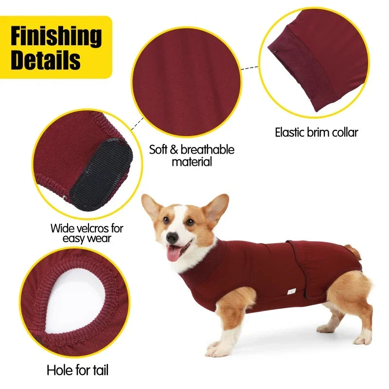 Recovery Suit for Dogs & Cats.