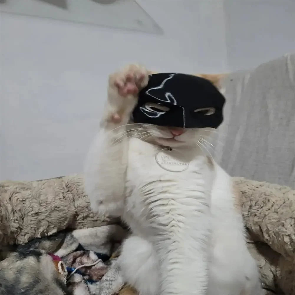 Cat Batman Mask.