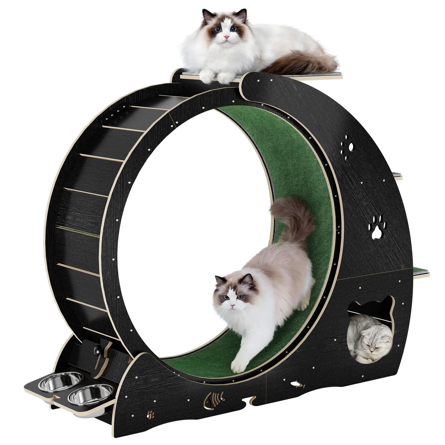 Cat Exercise Wheel.