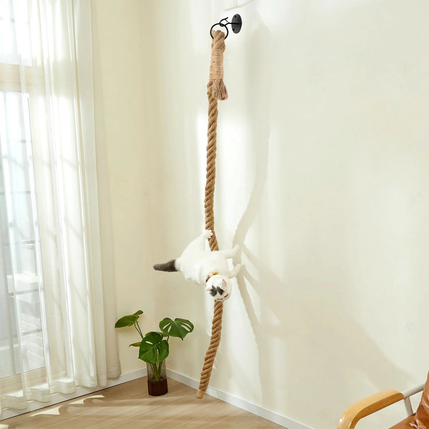 Cat Sisal Climbing Rope.