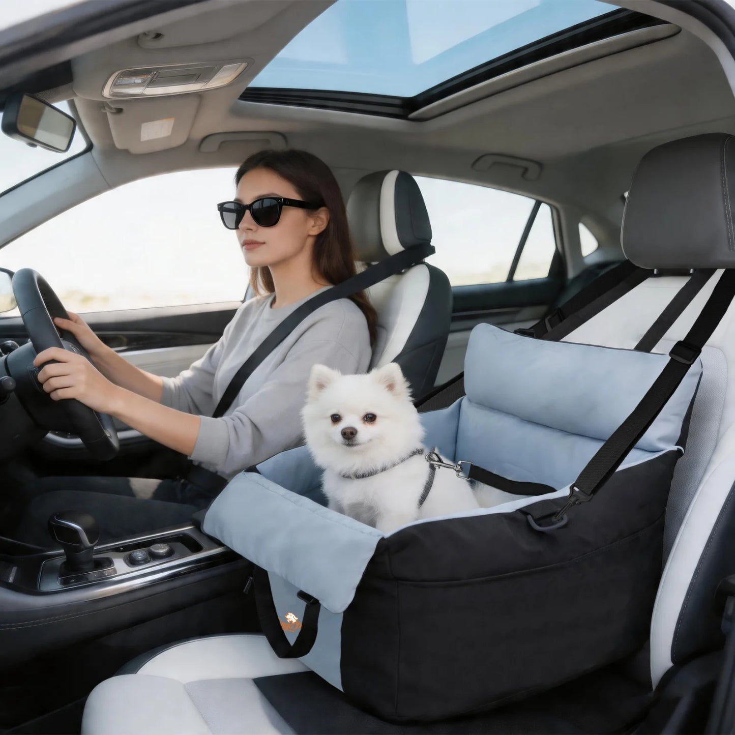 Dog Car Seat for Small Dogs.