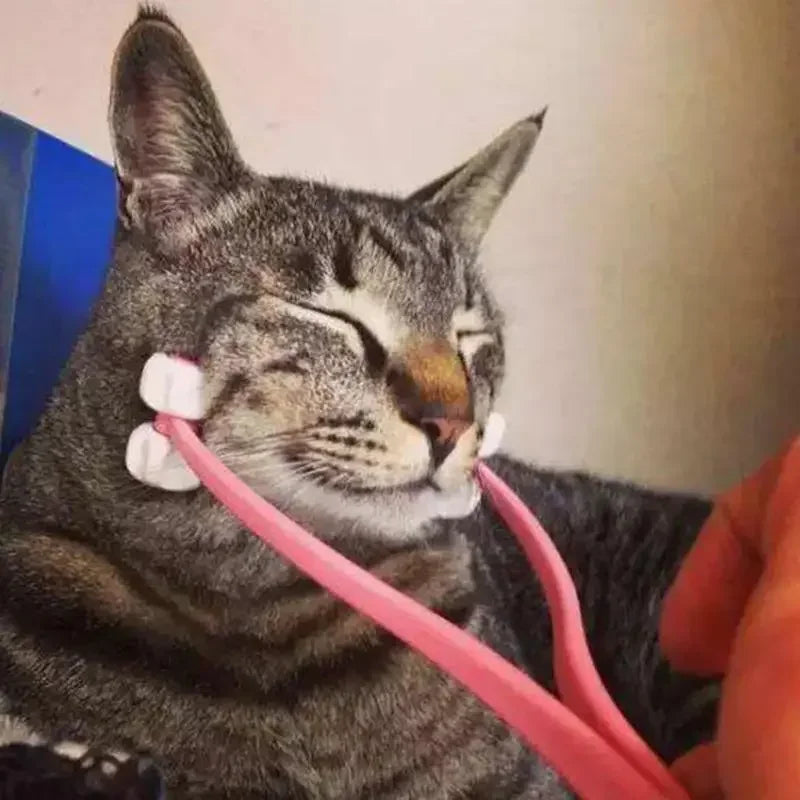 Multifunction Cat Thin Face Massager.
