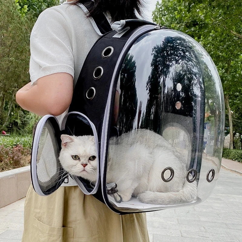 Pet Cat Carrying Bag.