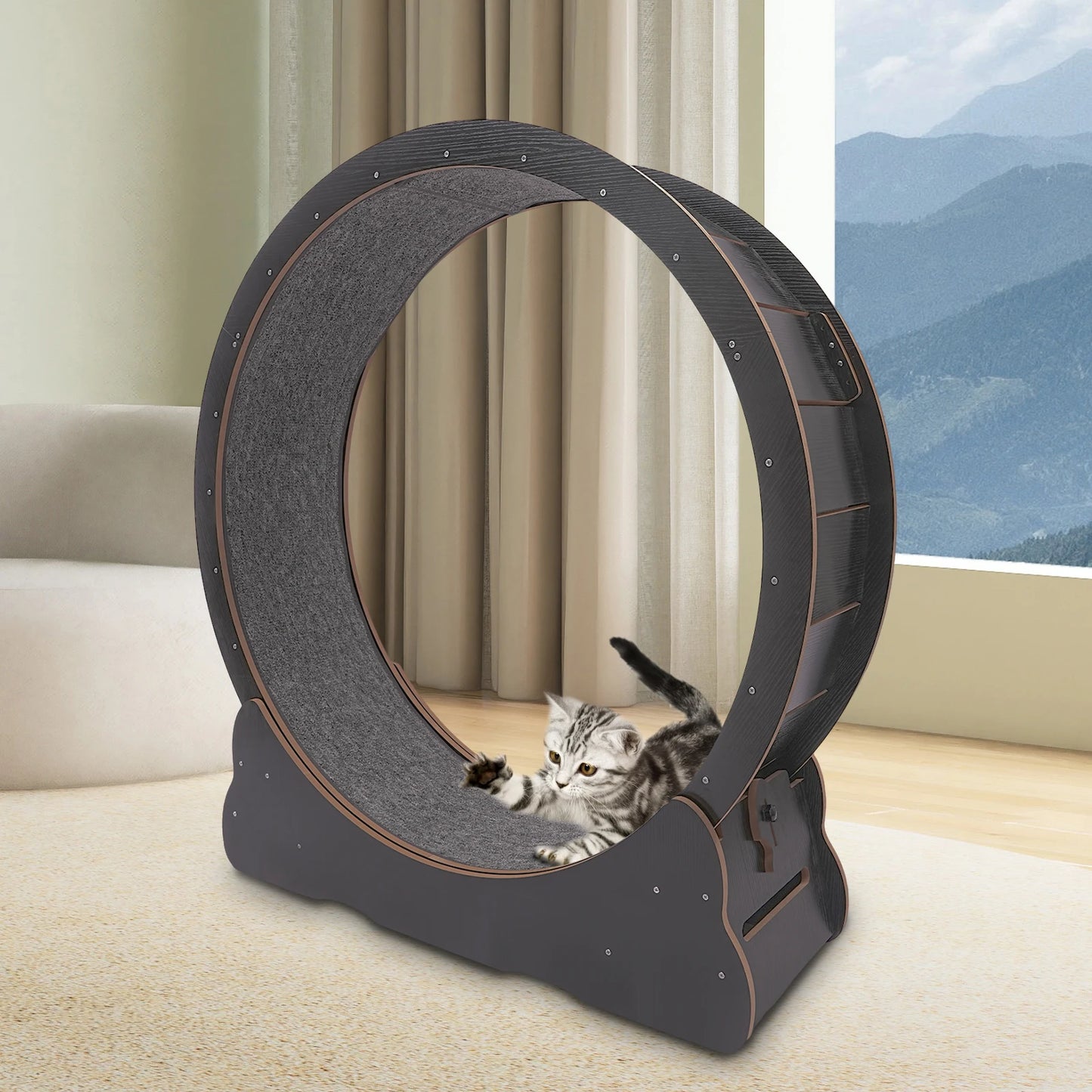 Cat Exercise Wheel Treadmill.