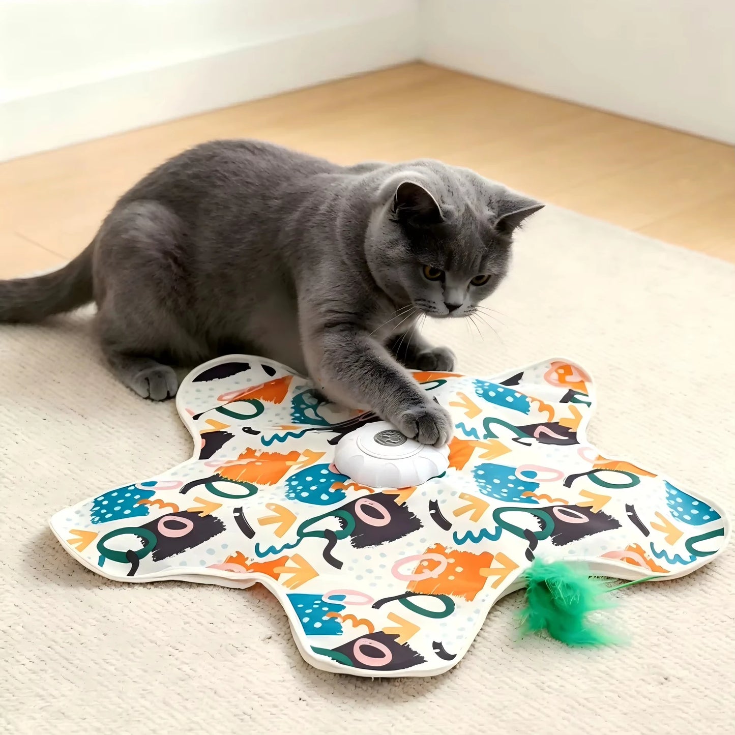 Cat Toy Hide and Seek.