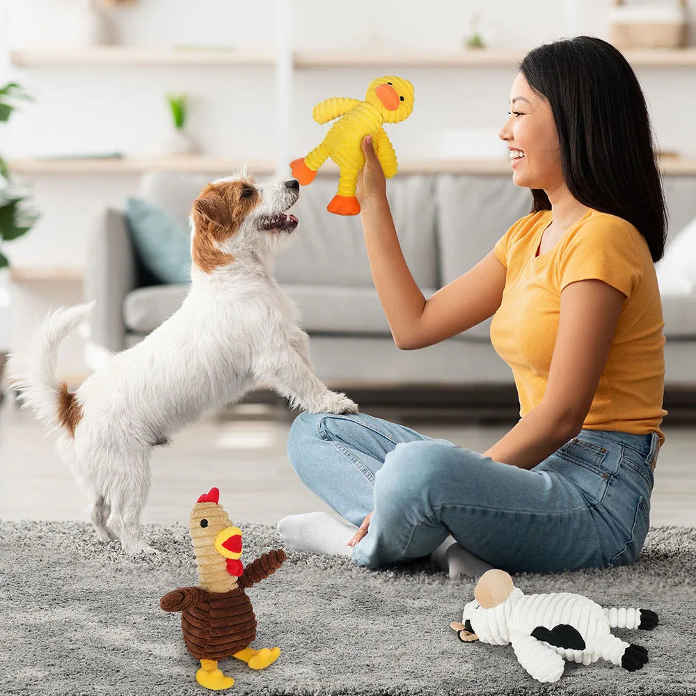 Plush Dog Squeaky Toys.