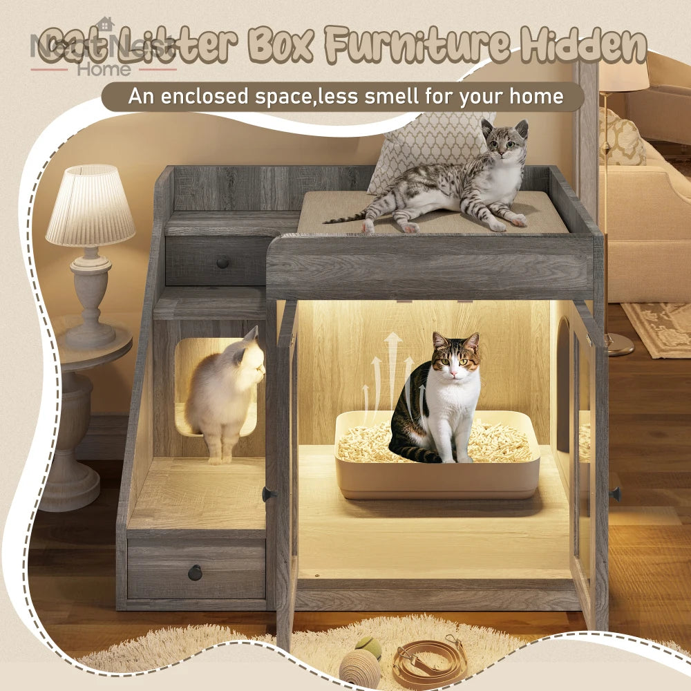 Cat House.
