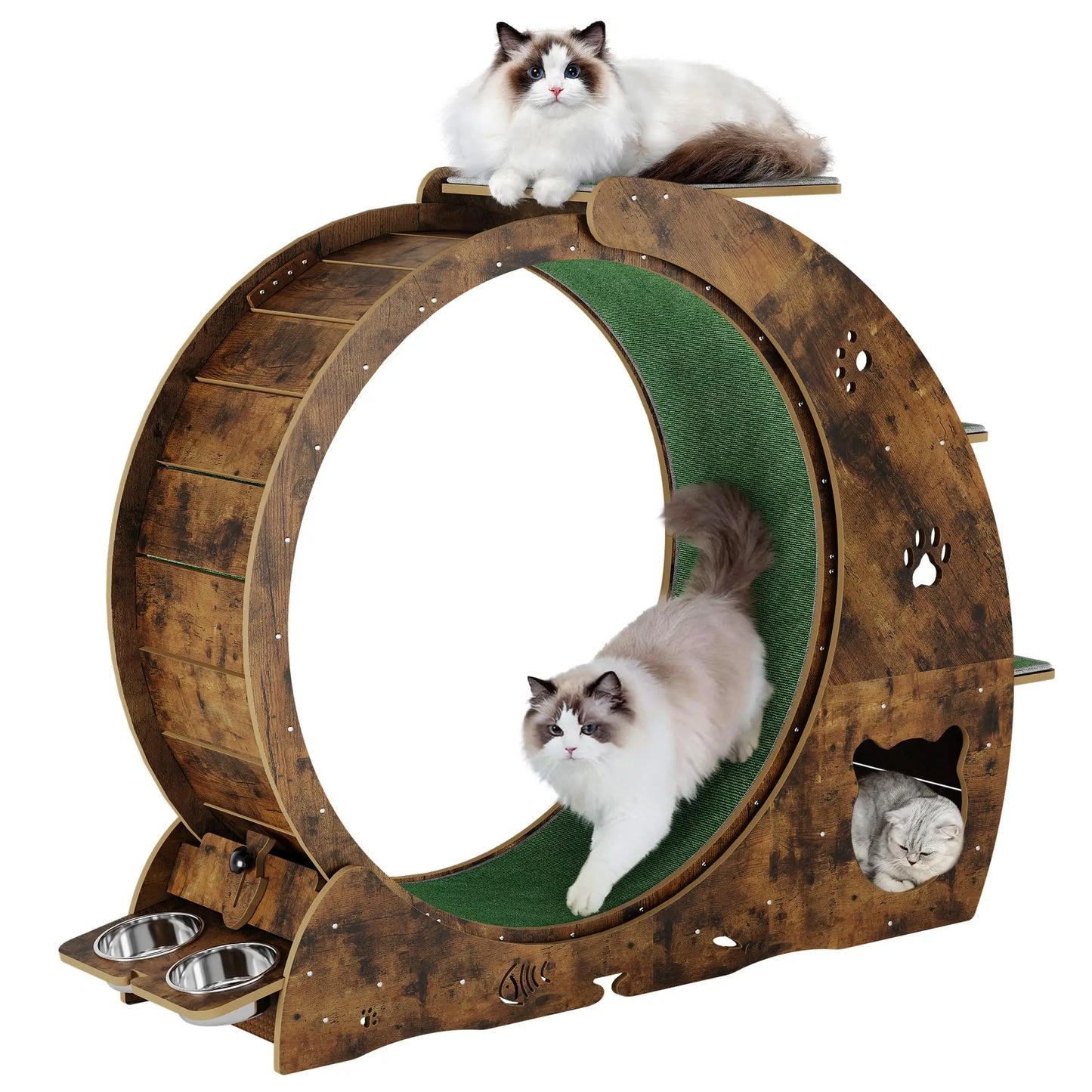 Cat Exercise Wheel.