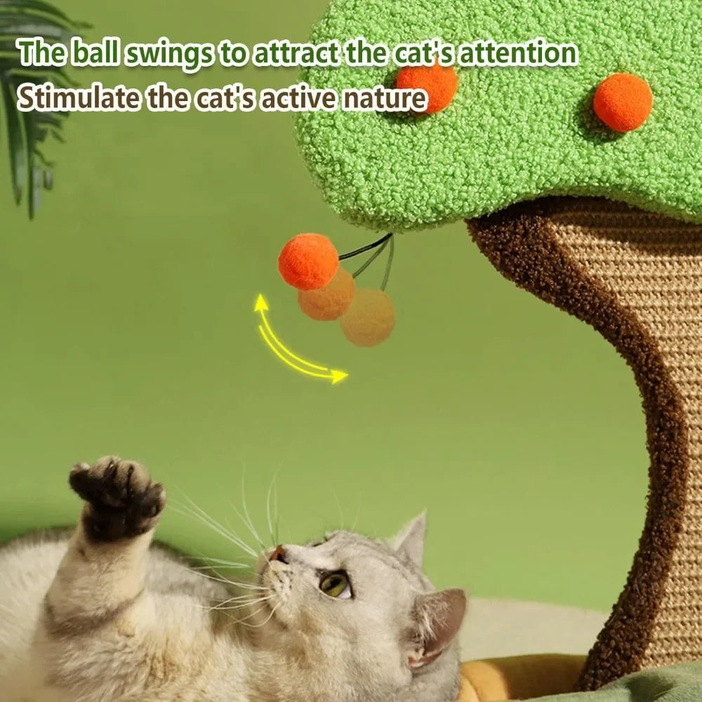 Cat Scratcher Bed.
