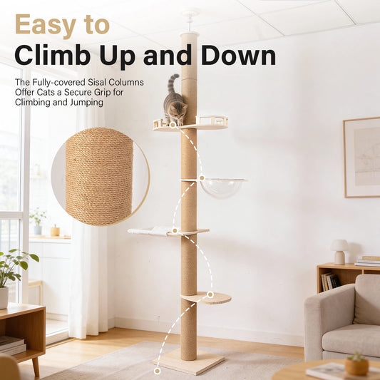 Floor To Ceiling Cat Tree.
