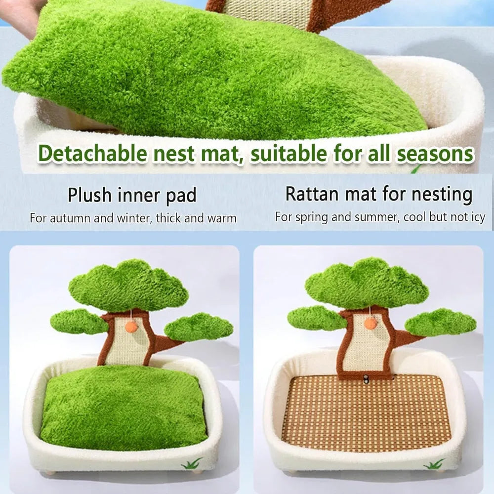 Cat Scratching Post with Bed.