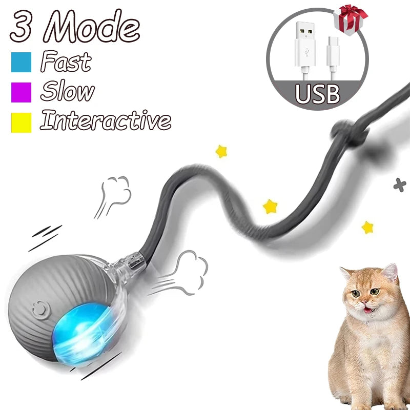 2Pcs Cat Interactive Ball Toys.