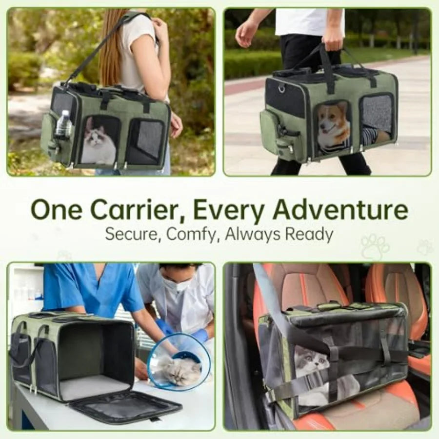 Cat Carrier for 2 Cats.