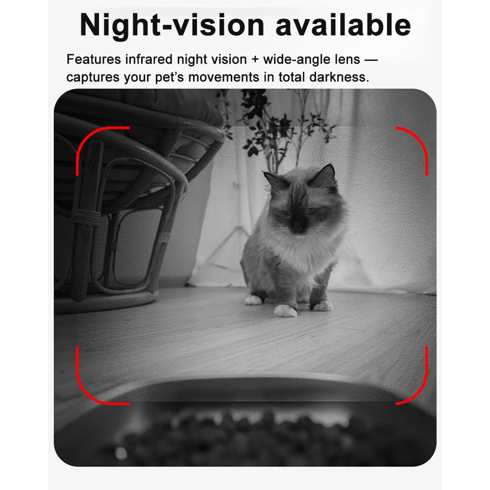 Automatic Cat Feeder.