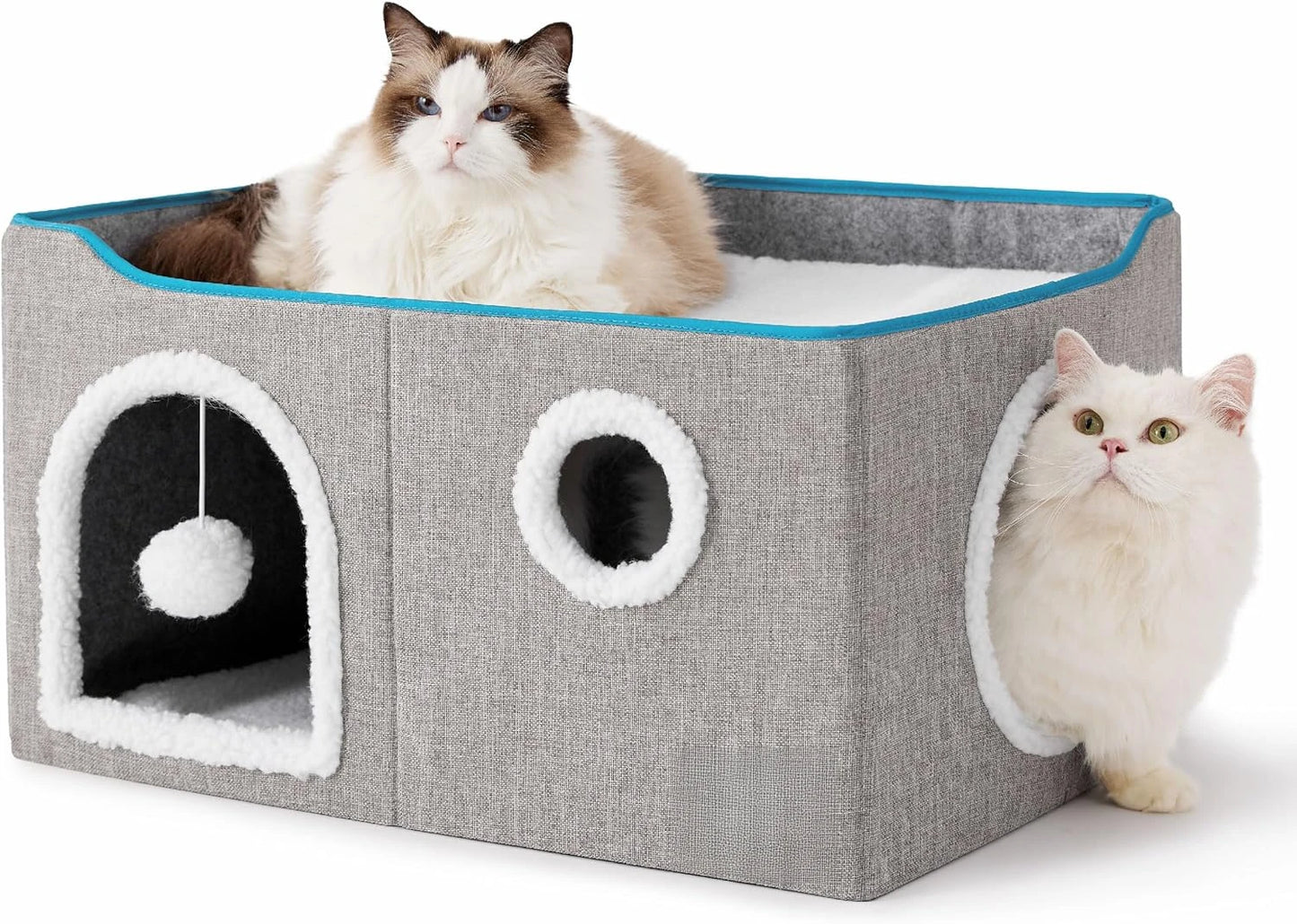 Wide Cat House.
