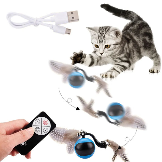 Cat Interactive Ball.