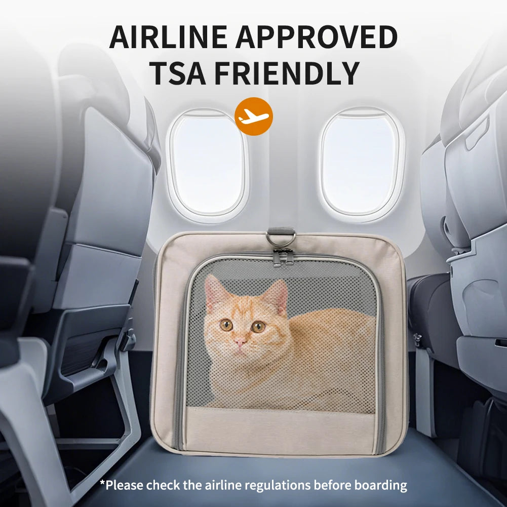 Cat Trolley.