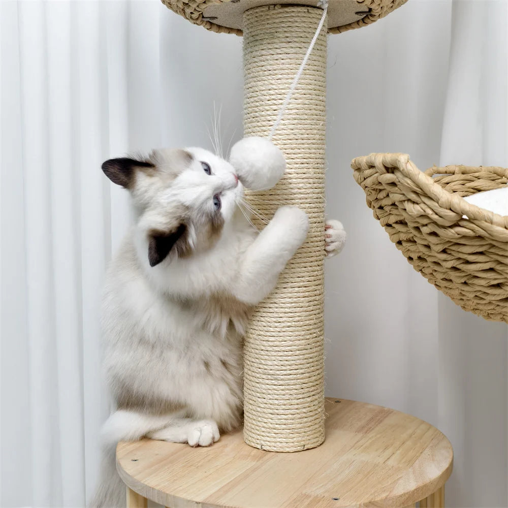 Cat Tree.