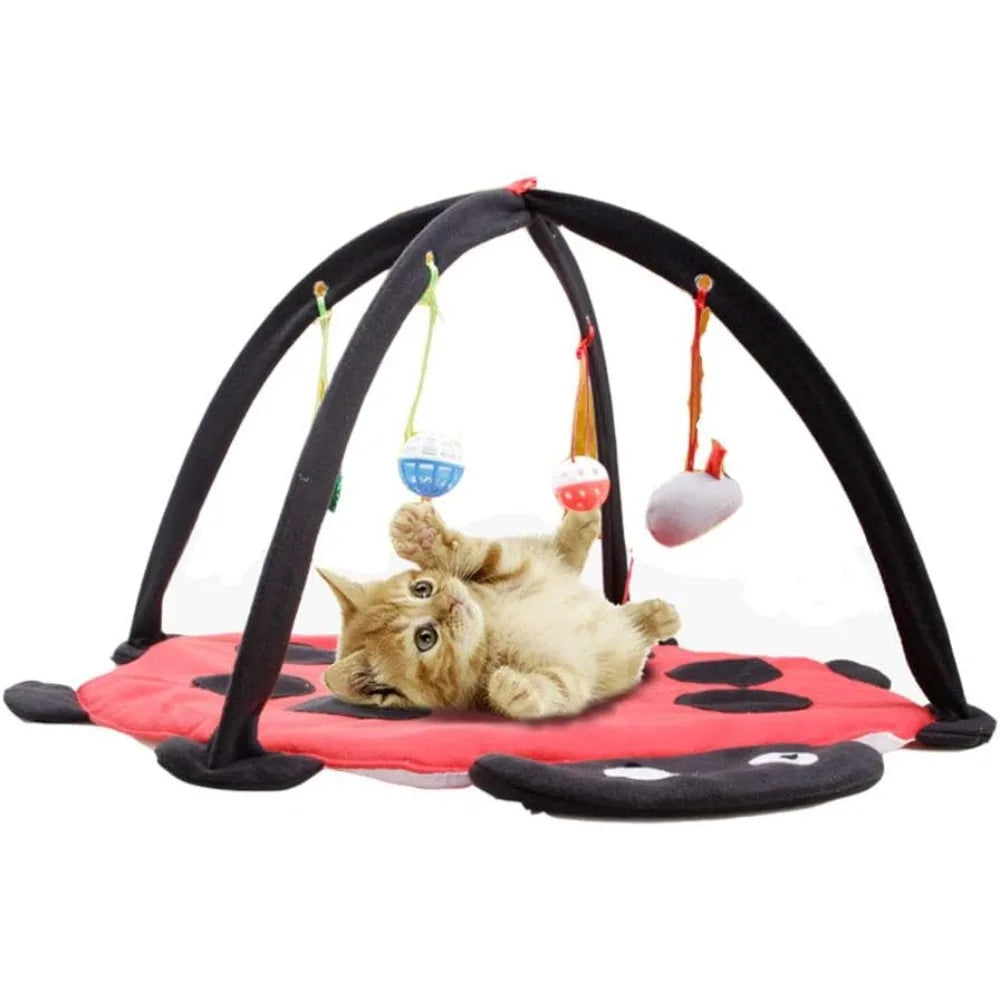 Cat Tent Activity Center.