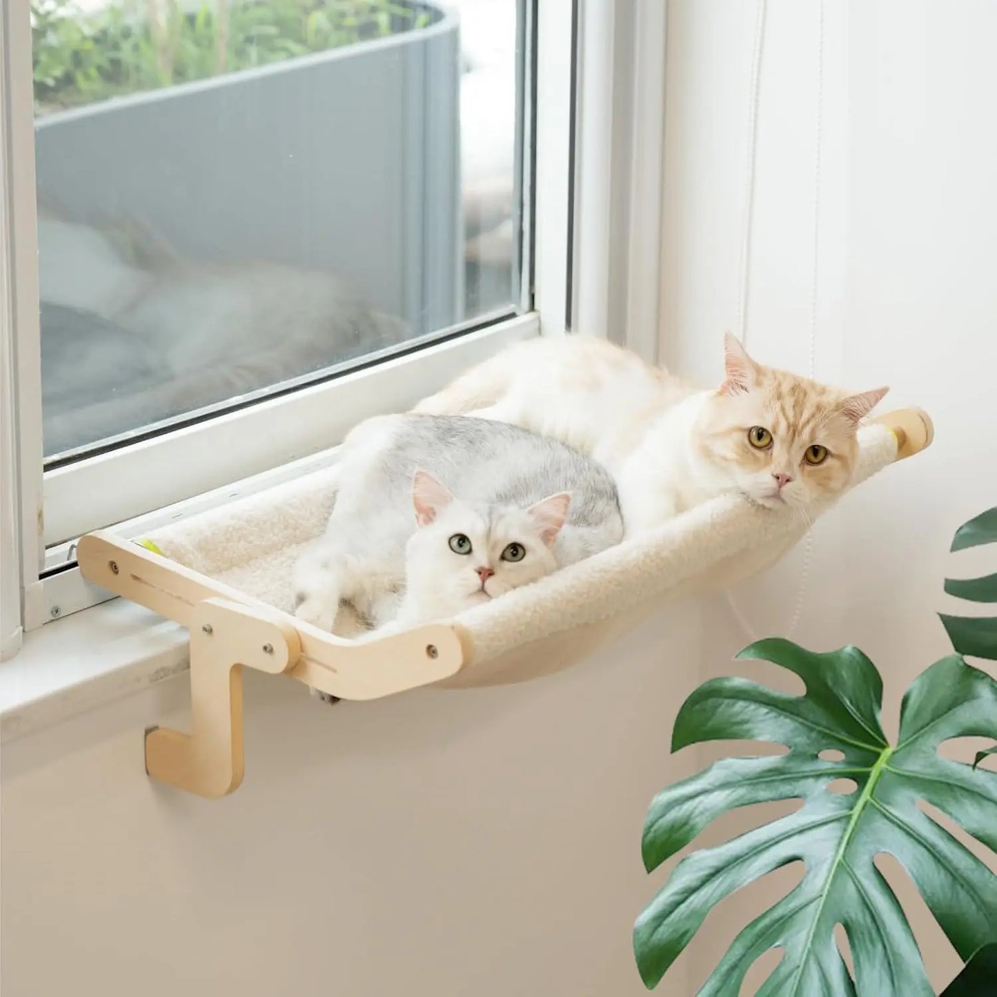 Cat Window Perch Lounge.