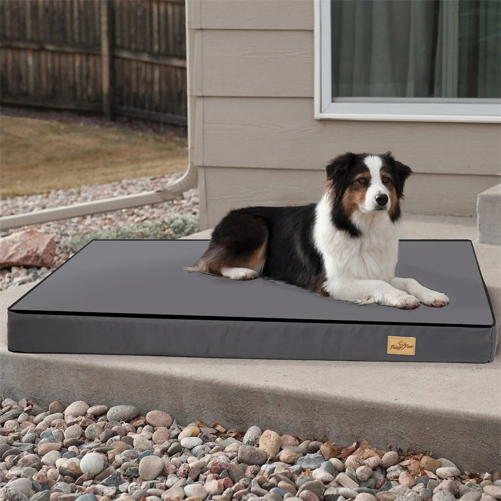 Large Orthopedic Dog Bed.