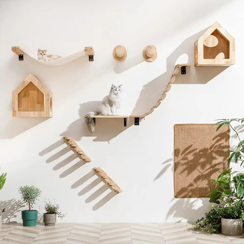 Cat Climbing Shelf Wall.