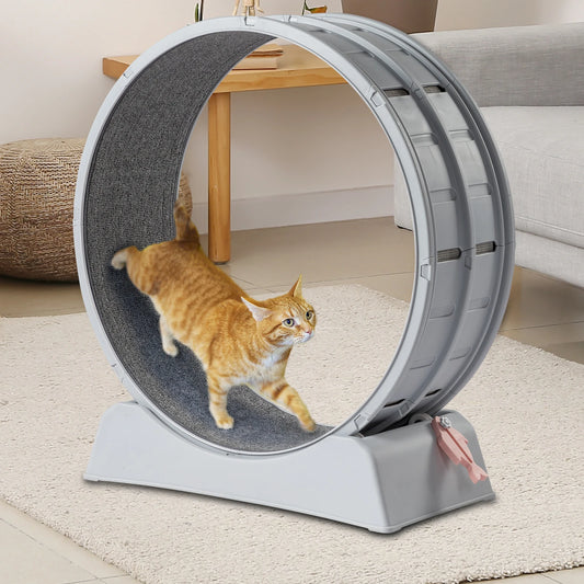 Interactive Cat Exercise Wheel.