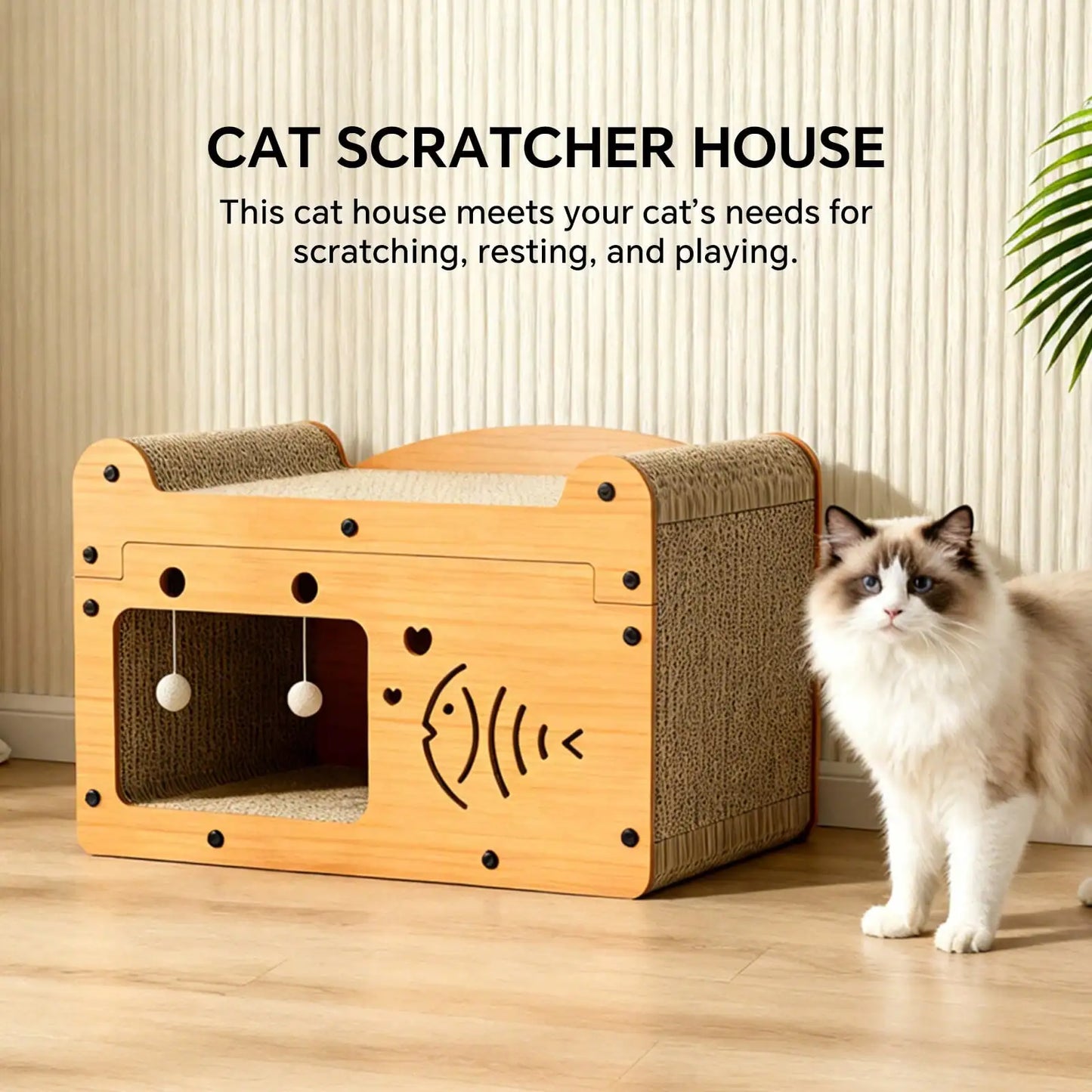 Cat Scratching Board.