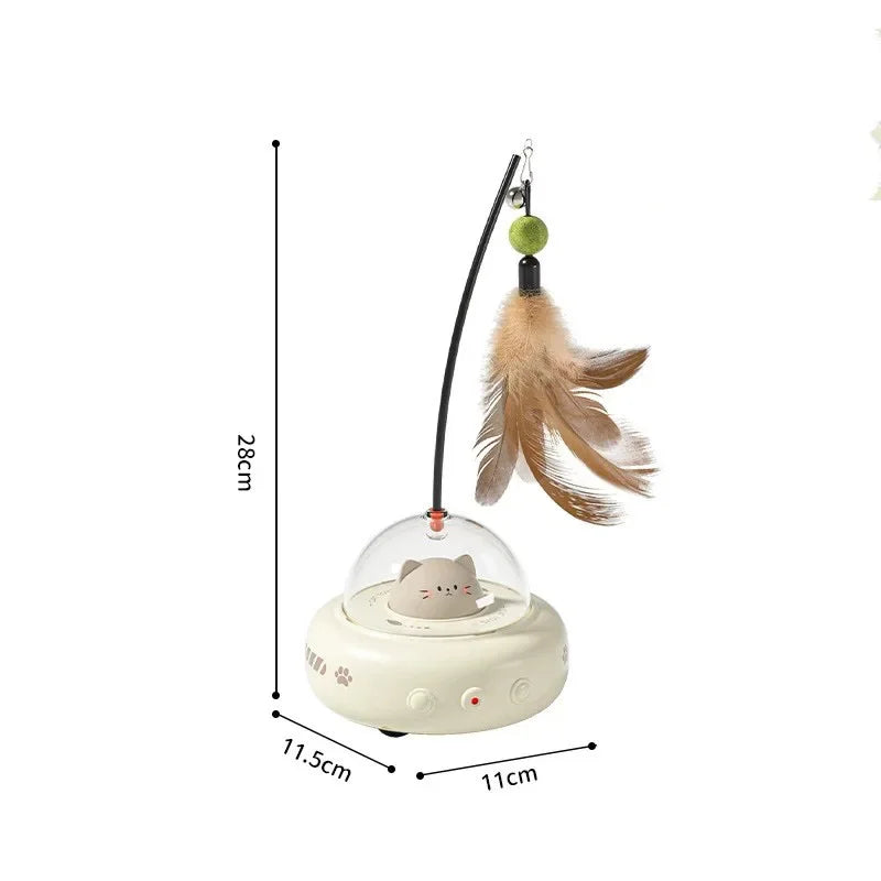 Cat Teaser Toy.