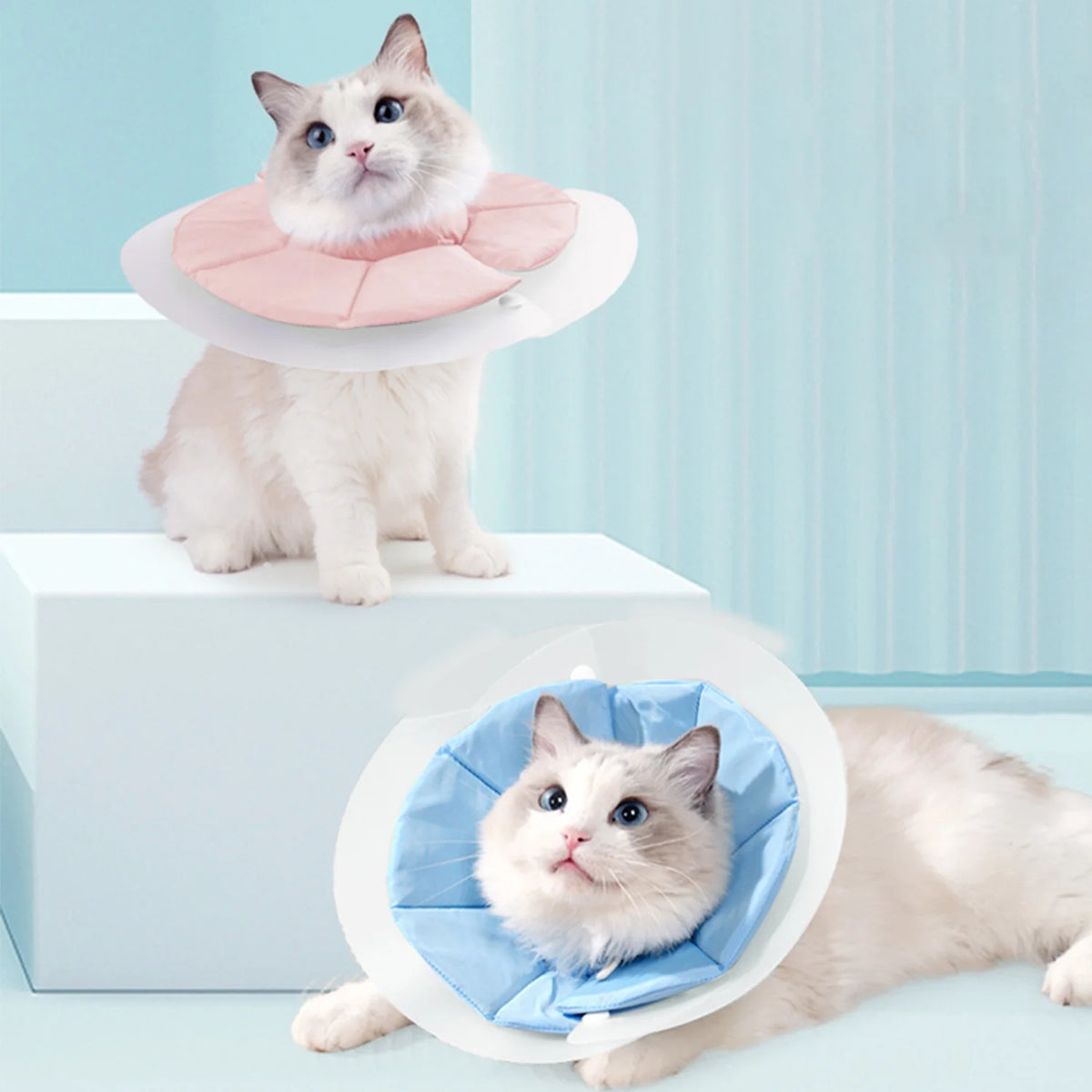 Soft Cat Recovery Collar.
