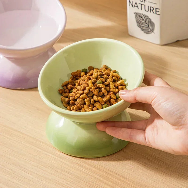 Tilted Cat Ceramic Bowl Gradient.