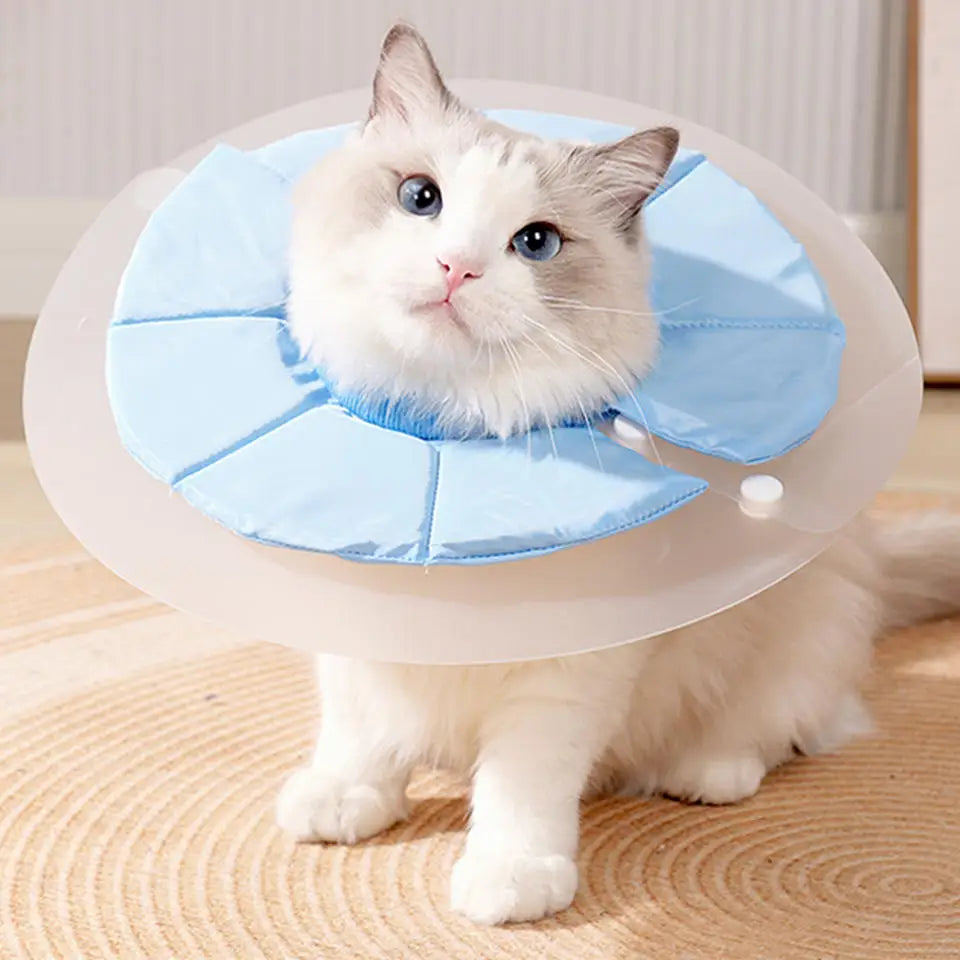 Soft Cat Recovery Collar.