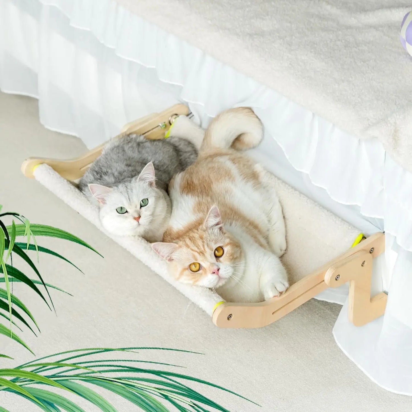 Cat Window Perch Lounge.