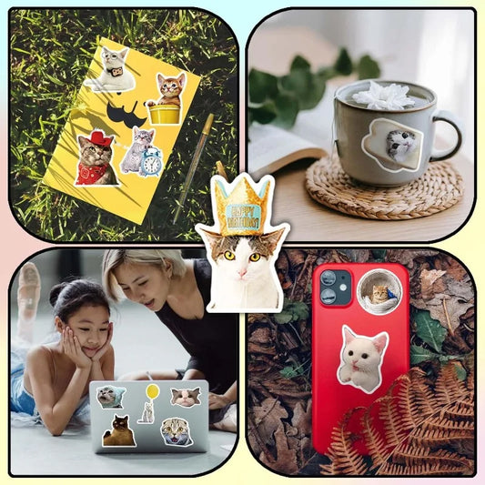 300 Pcs Funny Cat Stickers.