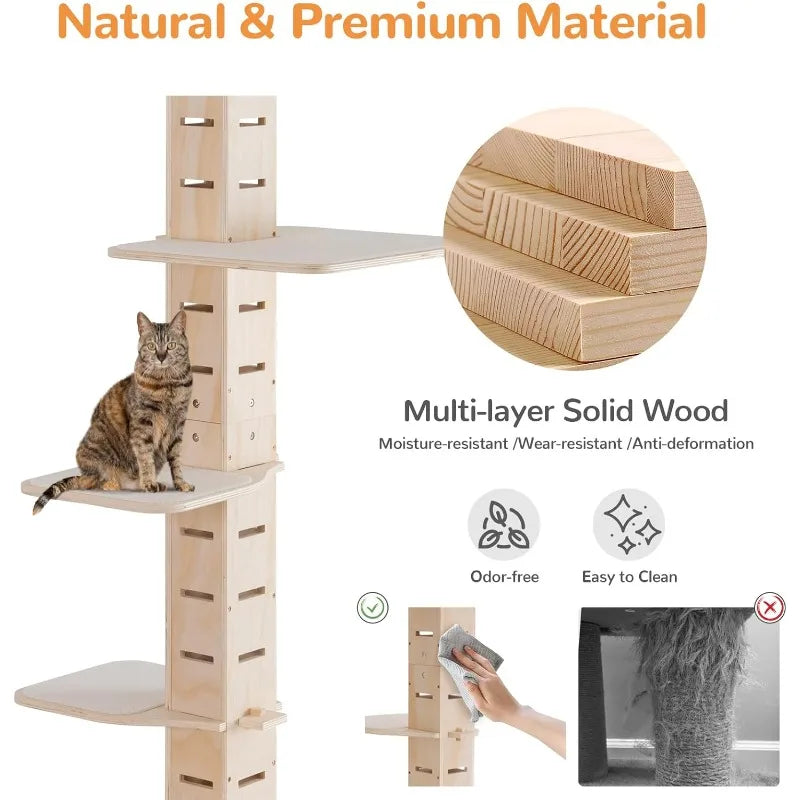 Floor to Ceiling Cat Tree.