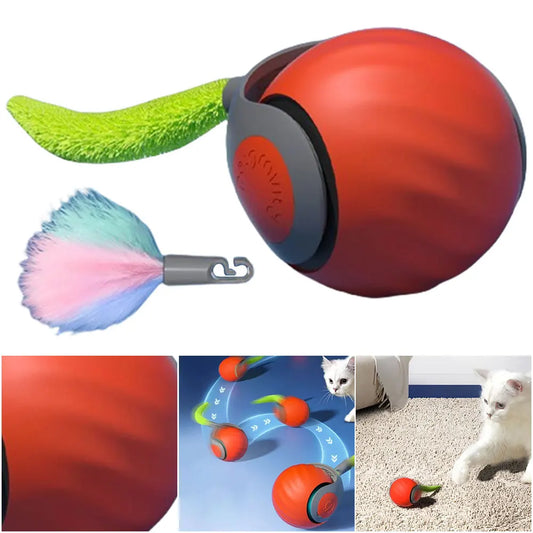 Automatic Moving Cat Toy.