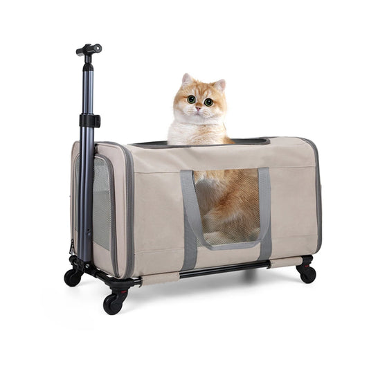 Cat Trolley.