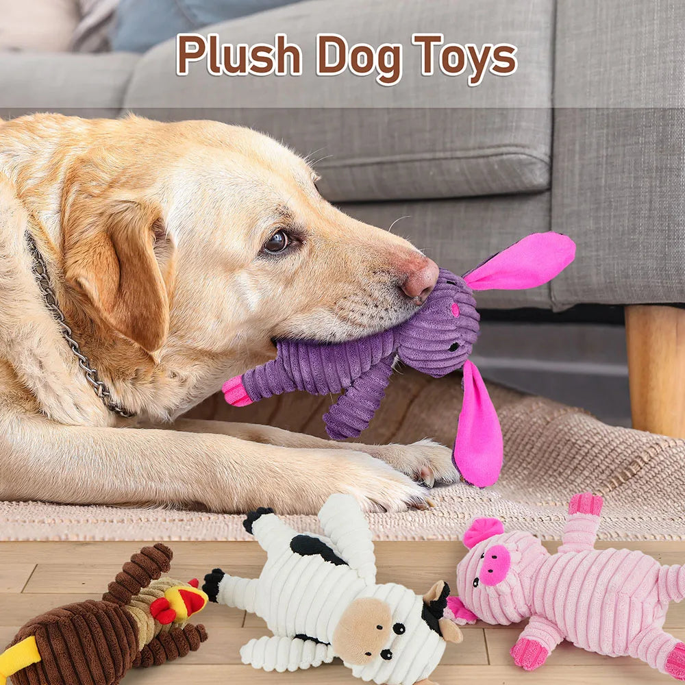 Plush Dog Squeaky Toys.