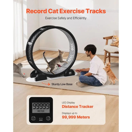 Cat Exercise Wheel.