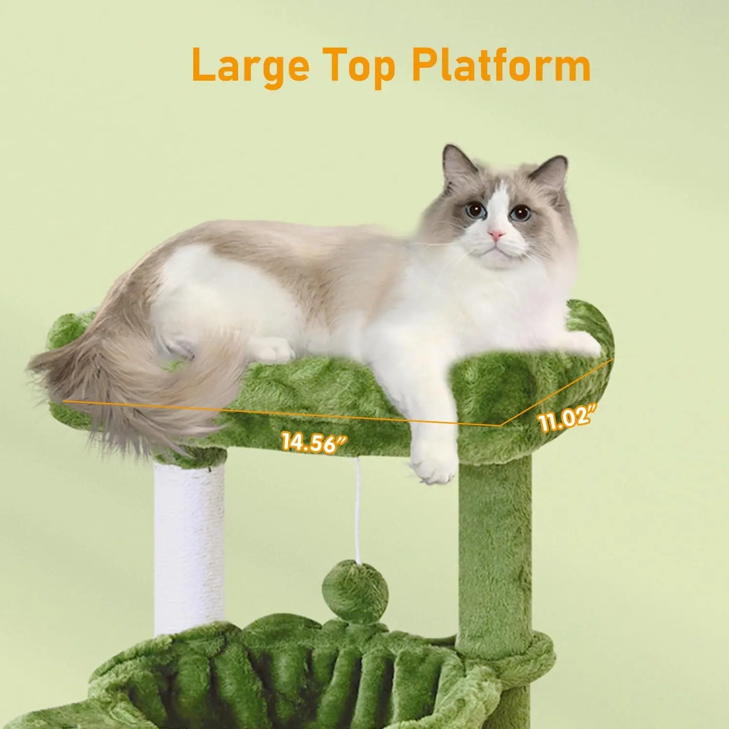 Cat Tree.