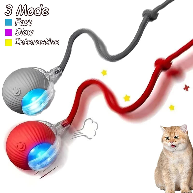 2Pcs Cat Interactive Ball Toys.