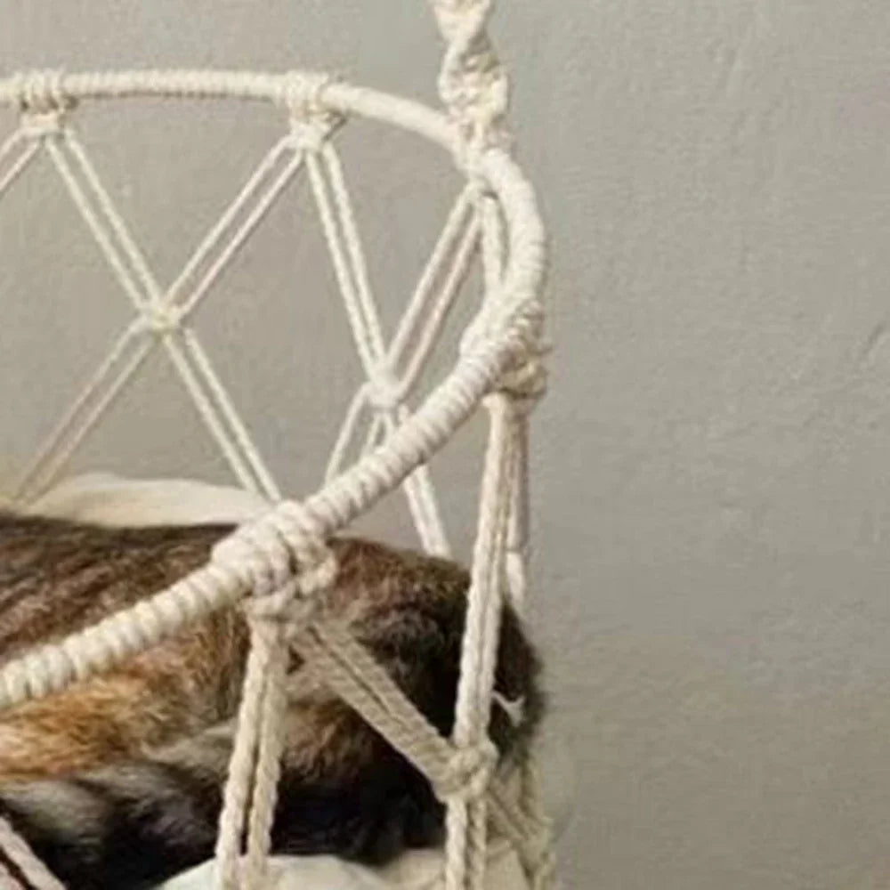 Cat & Kitten Hammock.